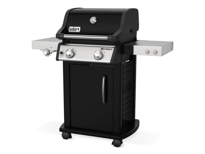 Spirit weber cheap