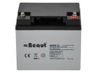 Beaut 40 Ah AGM Batterie
