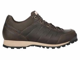 Lowa Pinto GTX Low Wanderschuhe