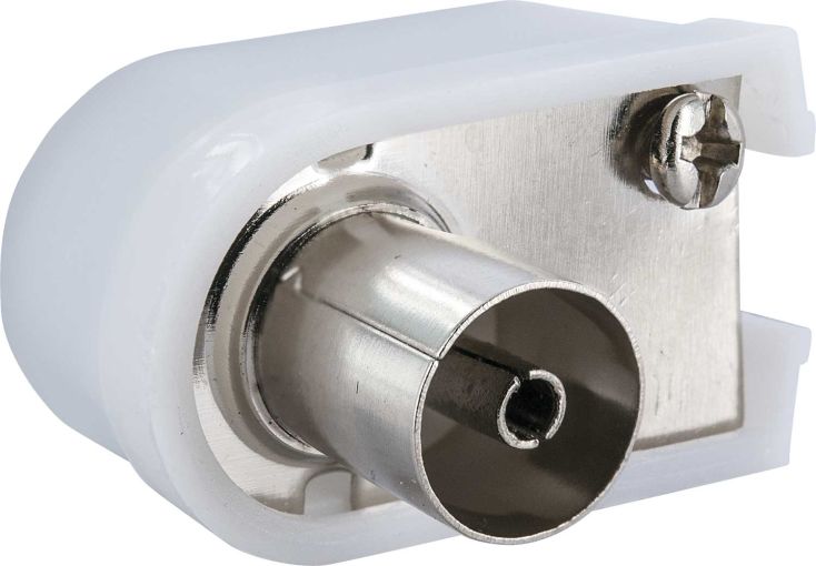 Schwaiger weiße IEC-Winkelbuchse