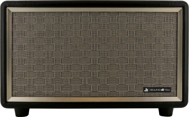 Schwaiger 24 Watt Retro Bluetooth Lautsprecher