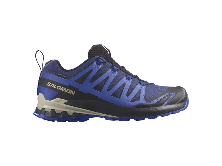 Salomon XA Pro 3D V9 GTX Herren Wanderschuhe - Blue