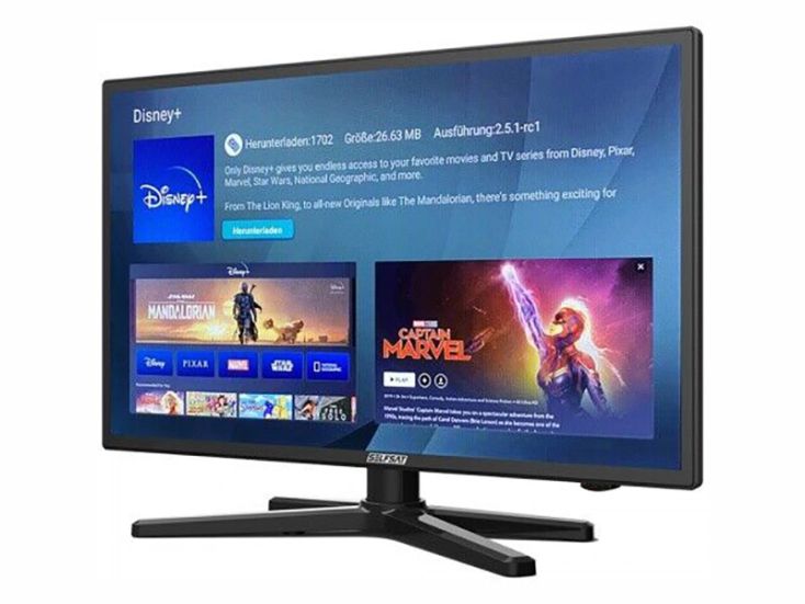 Selfsat smart led 1224 24" Fernseher