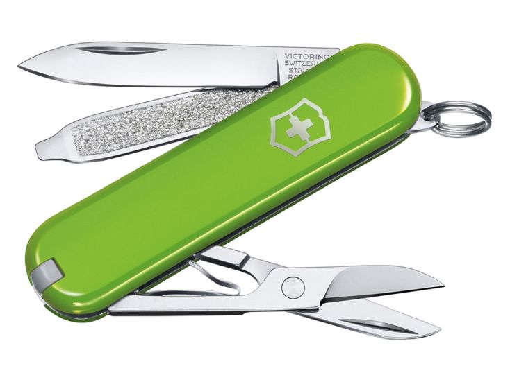 Victorinox Classic SD Smashed Avocado Taschenmesser