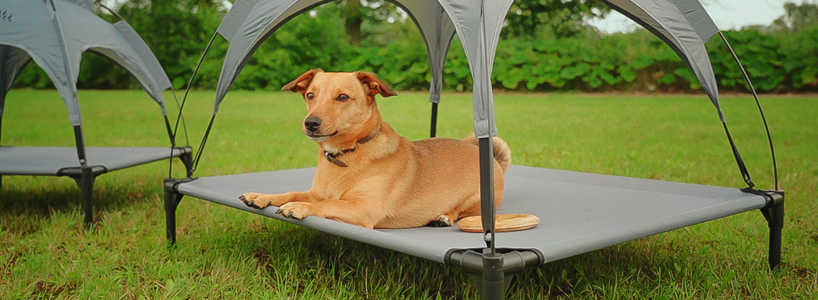 https://www.obelink.at/media/magefan_blog/Hond_naar_de_camping_banner_22.jpg