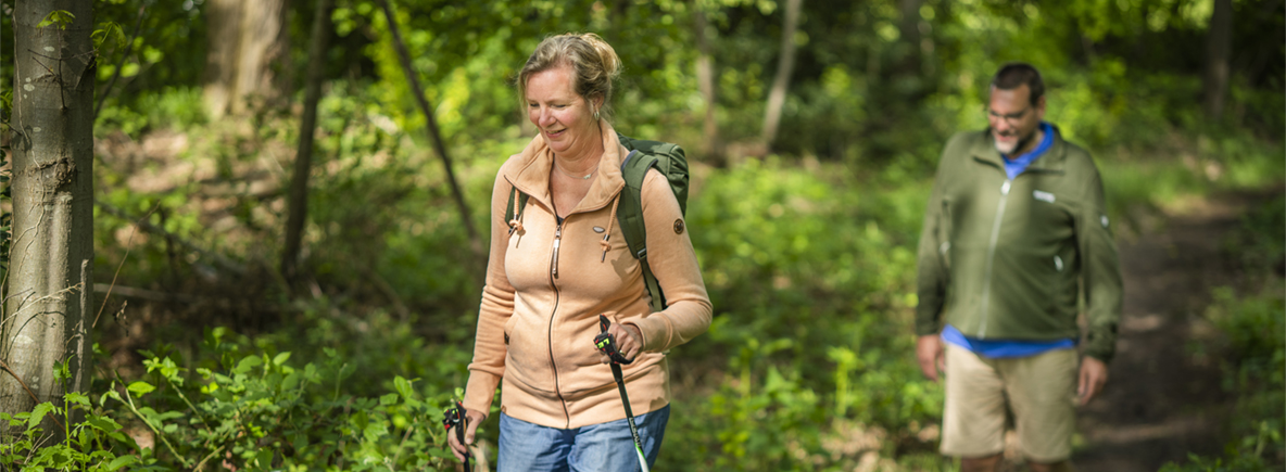 Entscheidungsfinder Trekkingstöcke