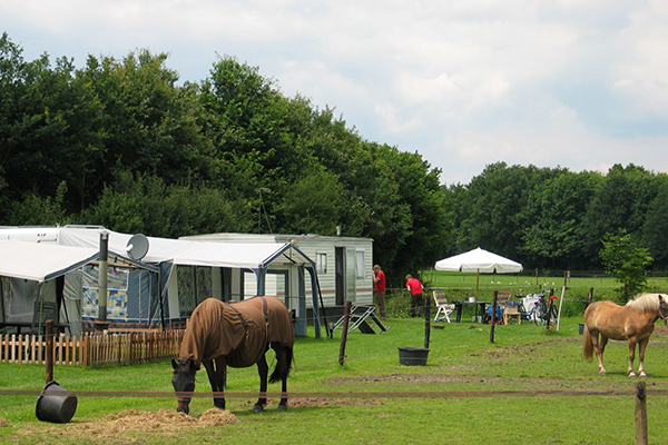 campingplatz mit pferdestall